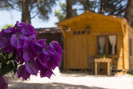 Morkoyun Bungalov Kamp Mordogan Εξωτερικό φωτογραφία