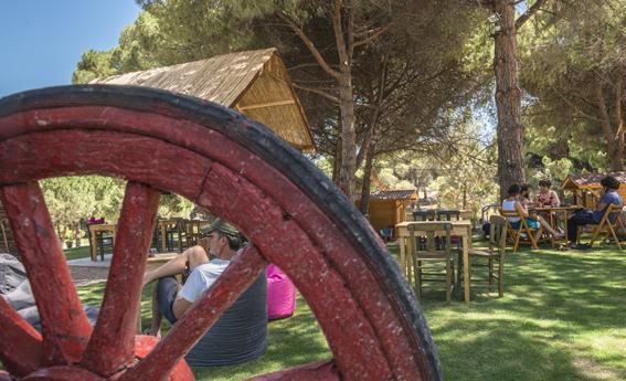 Morkoyun Bungalov Kamp Mordogan Εξωτερικό φωτογραφία