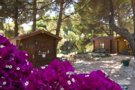 Morkoyun Bungalov Kamp Mordogan Εξωτερικό φωτογραφία
