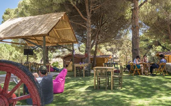 Morkoyun Bungalov Kamp Mordogan Εξωτερικό φωτογραφία
